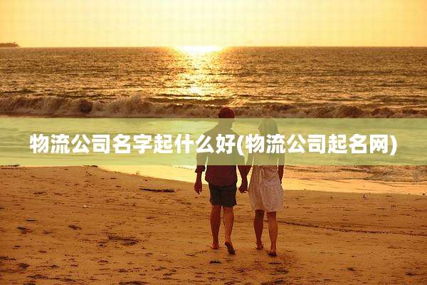 物流公司名字起什么好(物流公司起名网)
