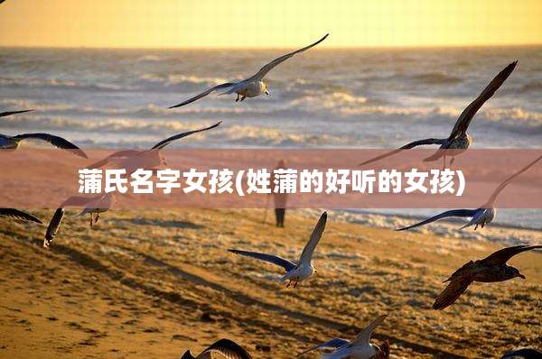 蒲氏名字女孩(姓蒲的好听的女孩)