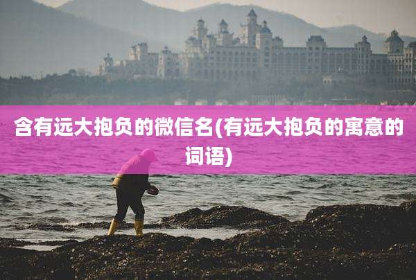 含有远大抱负的微信名(有远大抱负的寓意的词语)