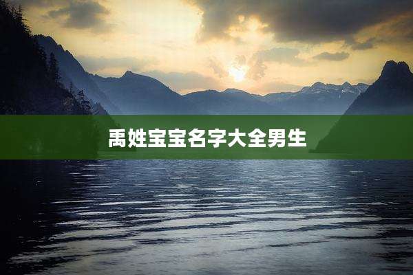禹姓宝宝名字大全男生