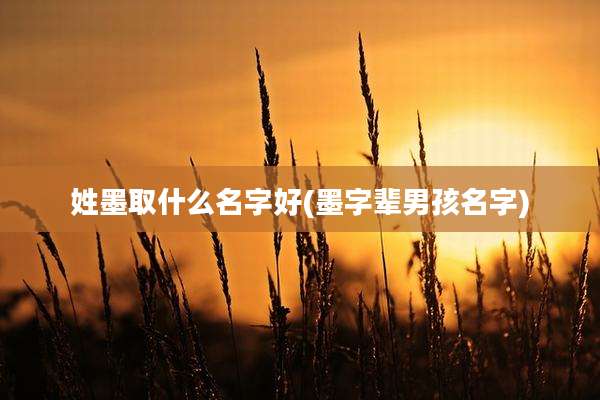 姓墨取什么名字好(墨字辈男孩名字)
