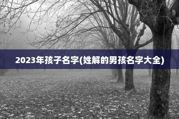 2023年孩子名字(姓解的男孩名字大全)