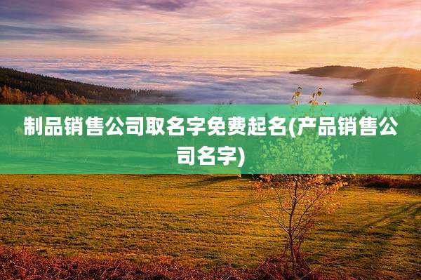 制品销售公司取名字免费起名(产品销售公司名字)
