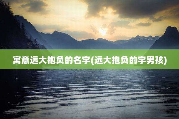 寓意远大抱负的名字(远大抱负的字男孩)
