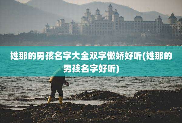 姓那的男孩名字大全双字傲娇好听(姓那的男孩名字好听)