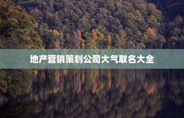地产营销策划公司大气取名大全