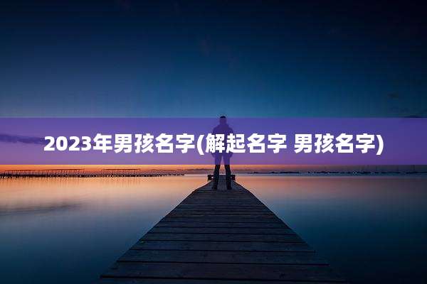 2023年男孩名字(解起名字 男孩名字)
