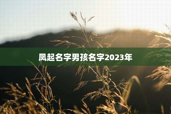 凤起名字男孩名字2023年