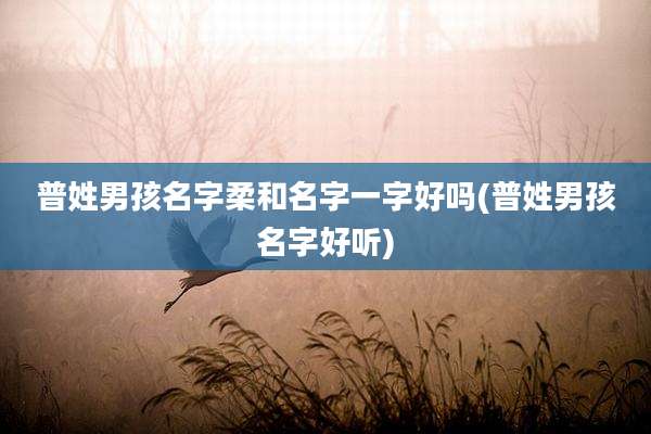 普姓男孩名字柔和名字一字好吗(普姓男孩名字好听)