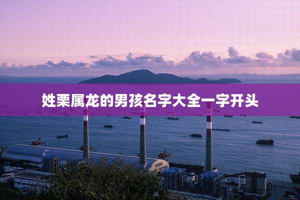 姓栗属龙的男孩名字大全一字开头