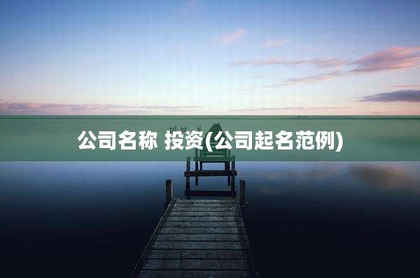 公司名称 投资(公司起名范例)