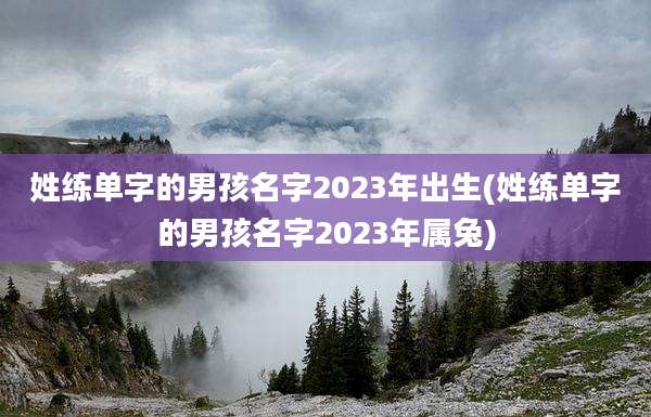 姓练单字的男孩名字2023年出生(姓练单字的男孩名字2023年属兔)