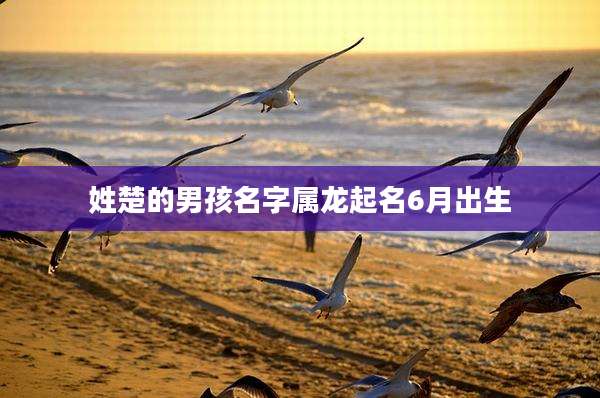 姓楚的男孩名字属龙起名6月出生