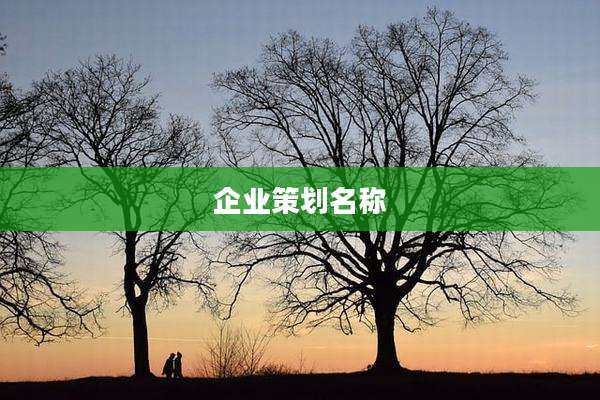 企业策划名称