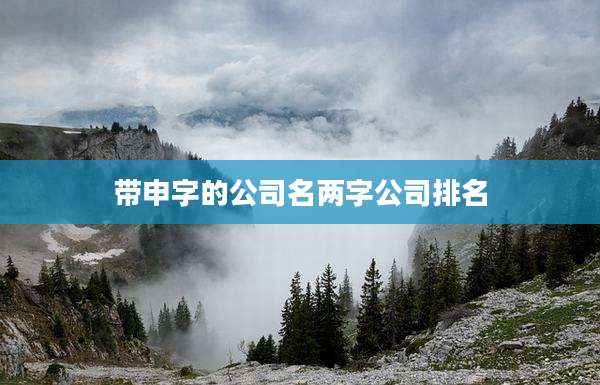 带申字的公司名两字公司排名