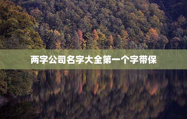 两字公司名字大全第一个字带保
