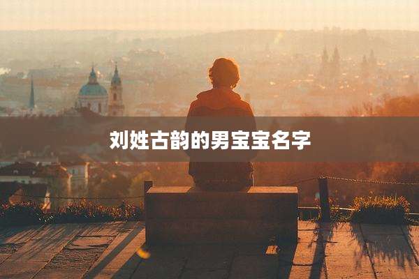 刘姓古韵的男宝宝名字