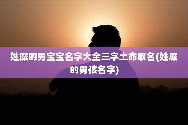 姓糜的男宝宝名字大全三字土命取名(姓糜的男孩名字)