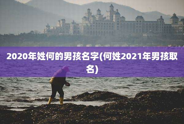 2020年姓何的男孩名字(何姓2021年男孩取名)