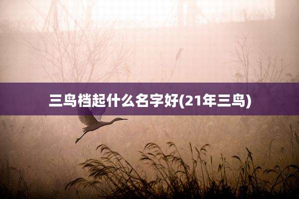 三鸟档起什么名字好(21年三鸟)