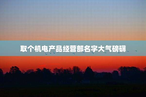 取个机电产品经营部名字大气磅礴