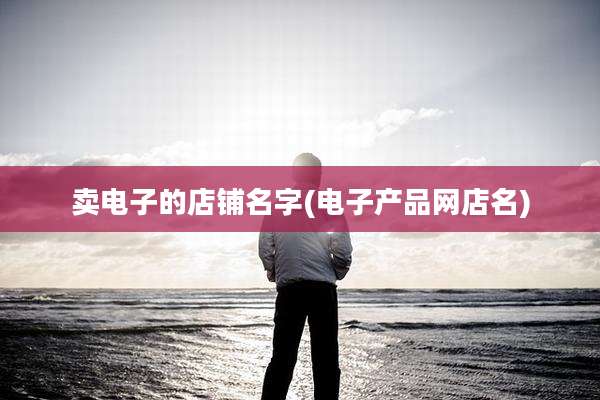 卖电子的店铺名字(电子产品网店名)