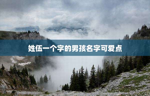 姓伍一个字的男孩名字可爱点