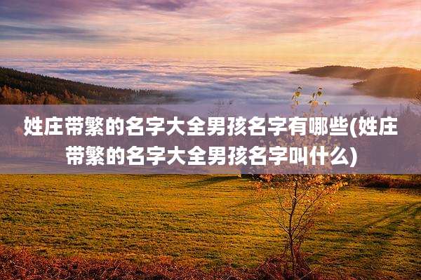 姓庄带繁的名字大全男孩名字有哪些(姓庄带繁的名字大全男孩名字叫什么)