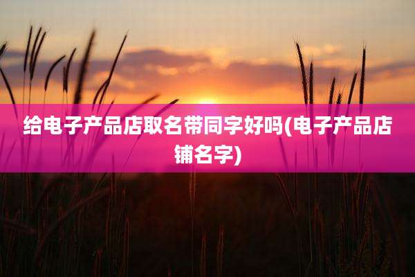 给电子产品店取名带同字好吗(电子产品店铺名字)