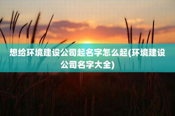 想给环境建设公司起名字怎么起(环境建设公司名字大全)