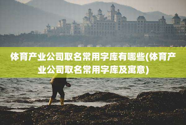 体育产业公司取名常用字库有哪些(体育产业公司取名常用字库及寓意)