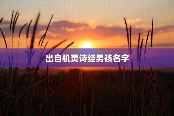 出自机灵诗经男孩名字