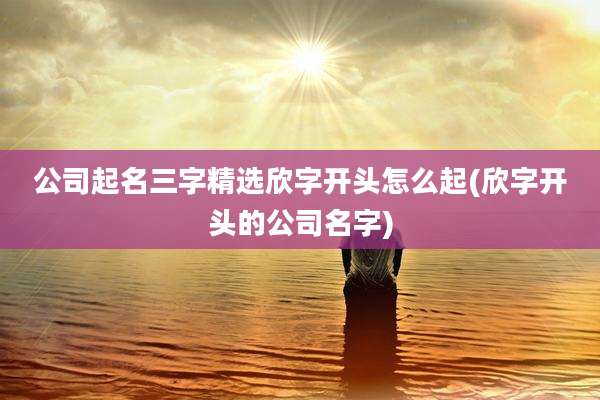 公司起名三字精选欣字开头怎么起(欣字开头的公司名字)