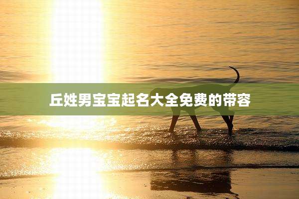 丘姓男宝宝起名大全免费的带容