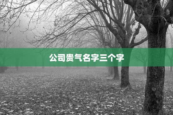 公司贵气名字三个字