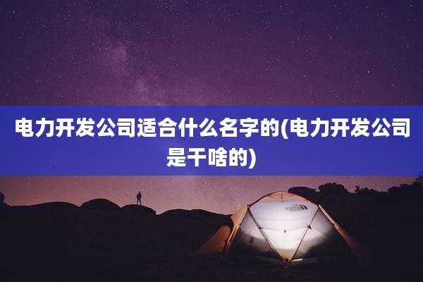 电力开发公司适合什么名字的(电力开发公司是干啥的)