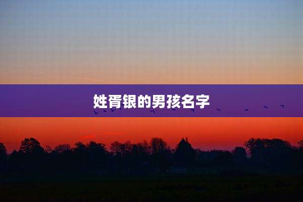 姓胥银的男孩名字