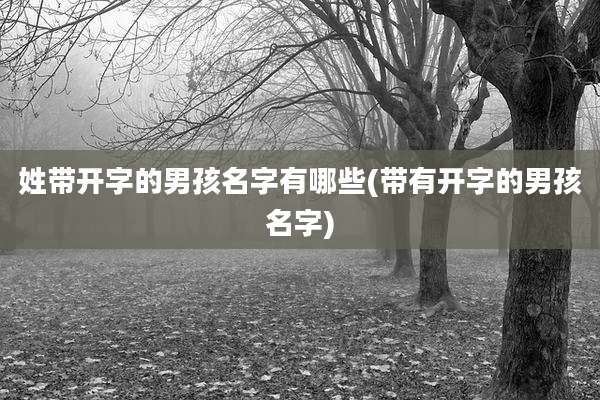 姓带开字的男孩名字有哪些(带有开字的男孩名字)