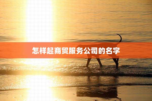 怎样起商贸服务公司的名字