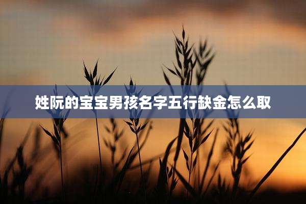 姓阮的宝宝男孩名字五行缺金怎么取