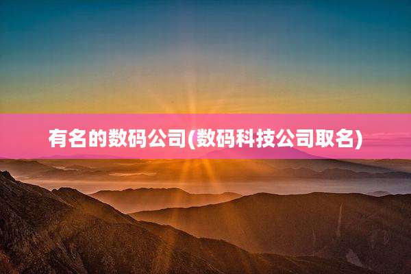 有名的数码公司(数码科技公司取名)