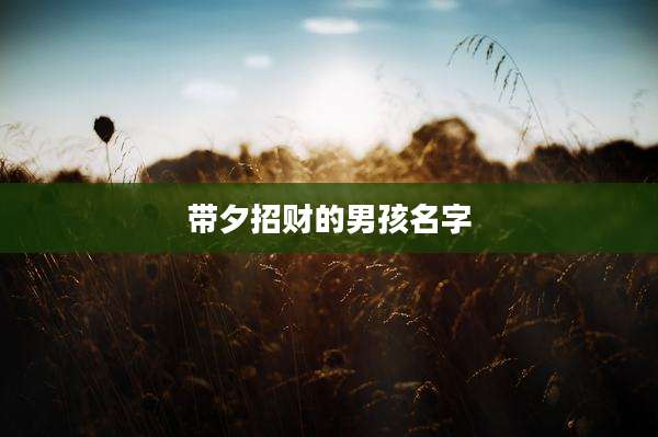 带夕招财的男孩名字
