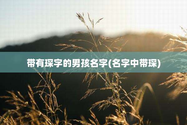 带有琛字的男孩名字(名字中带琛)