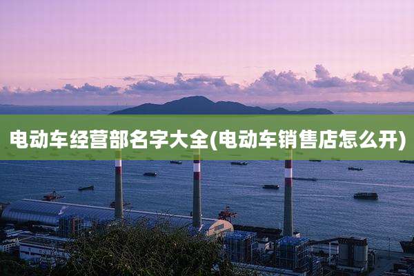 电动车经营部名字大全(电动车销售店怎么开)