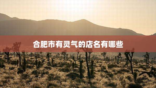 合肥市有灵气的店名有哪些