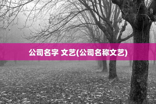 公司名字 文艺(公司名称文艺)