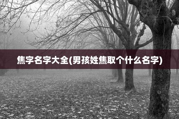 焦字名字大全(男孩姓焦取个什么名字)