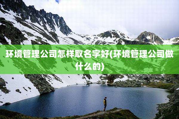 环境管理公司怎样取名字好(环境管理公司做什么的)