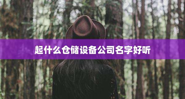 起什么仓储设备公司名字好听