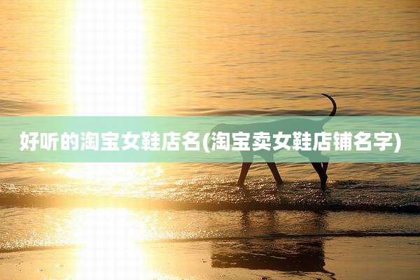 好听的淘宝女鞋店名(淘宝卖女鞋店铺名字)